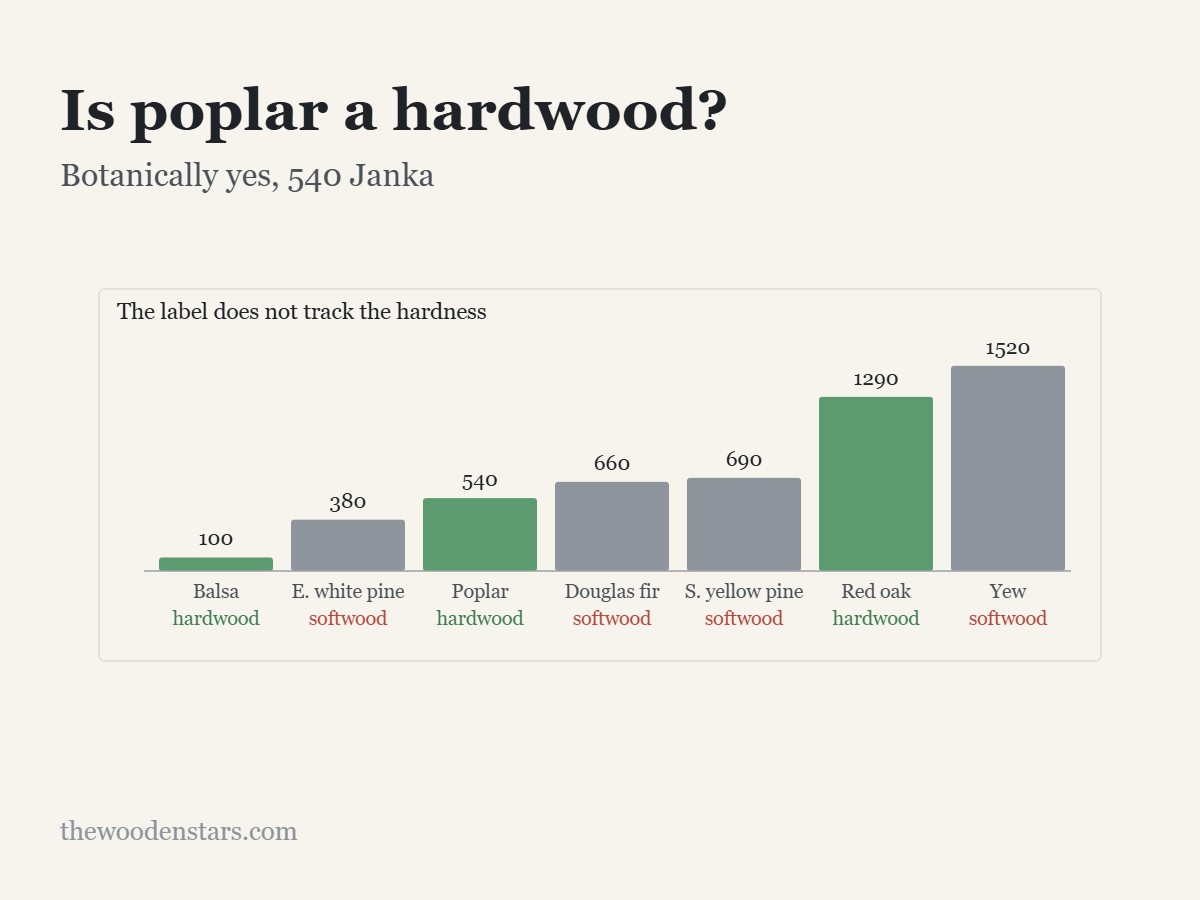 Is poplar a hardwood?: Botanically yes, 540 Janka. Diagram from the article.